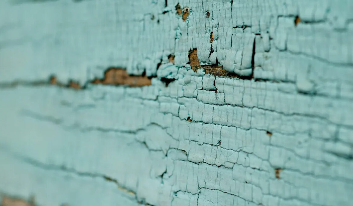 lead based paint inspection