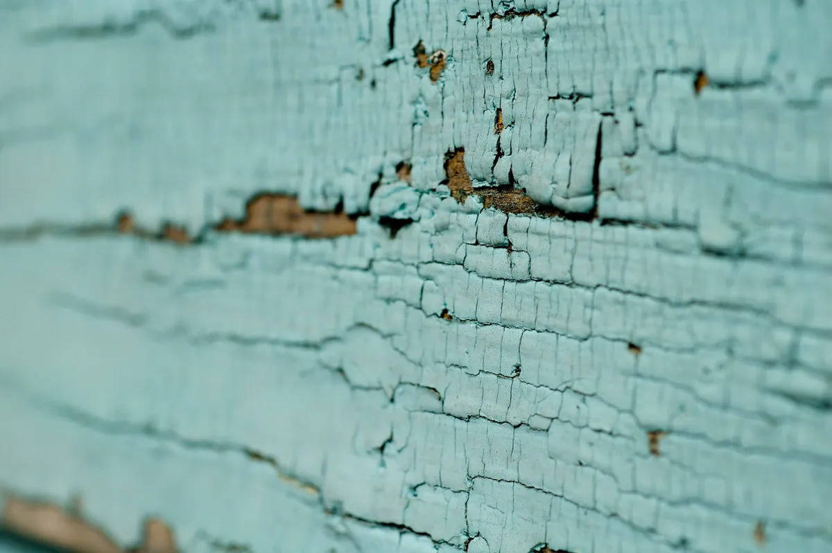 lead based paint inspection